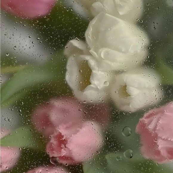 Meet your Posher, Hailey - Picture 1 of 1